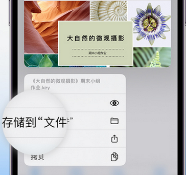 望奎apple维修中心分享iPhone文件应用中存储和找到下载文件