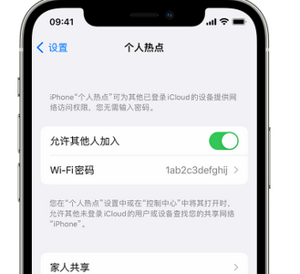 望奎apple服务站点分享iPhone上个人热点丢失了怎么办 