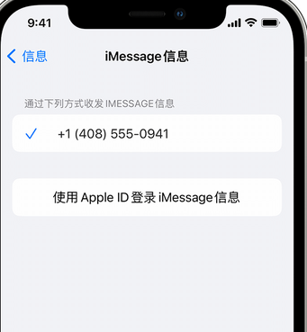 望奎apple维修iPhone上无法正常发送iMessage信息 