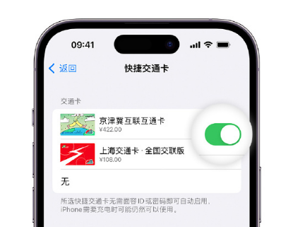 望奎apple维修点分享iPhone上更换Apple Pay快捷交通卡手绘卡面 