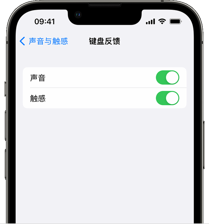 望奎苹果14维修店分享如何在 iPhone 14 机型中使用触感键盘 