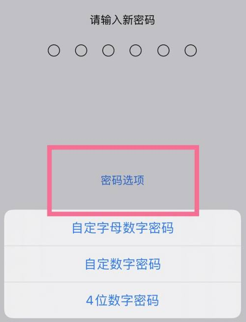 望奎苹果14维修分享iPhone 14plus设置密码的方法 