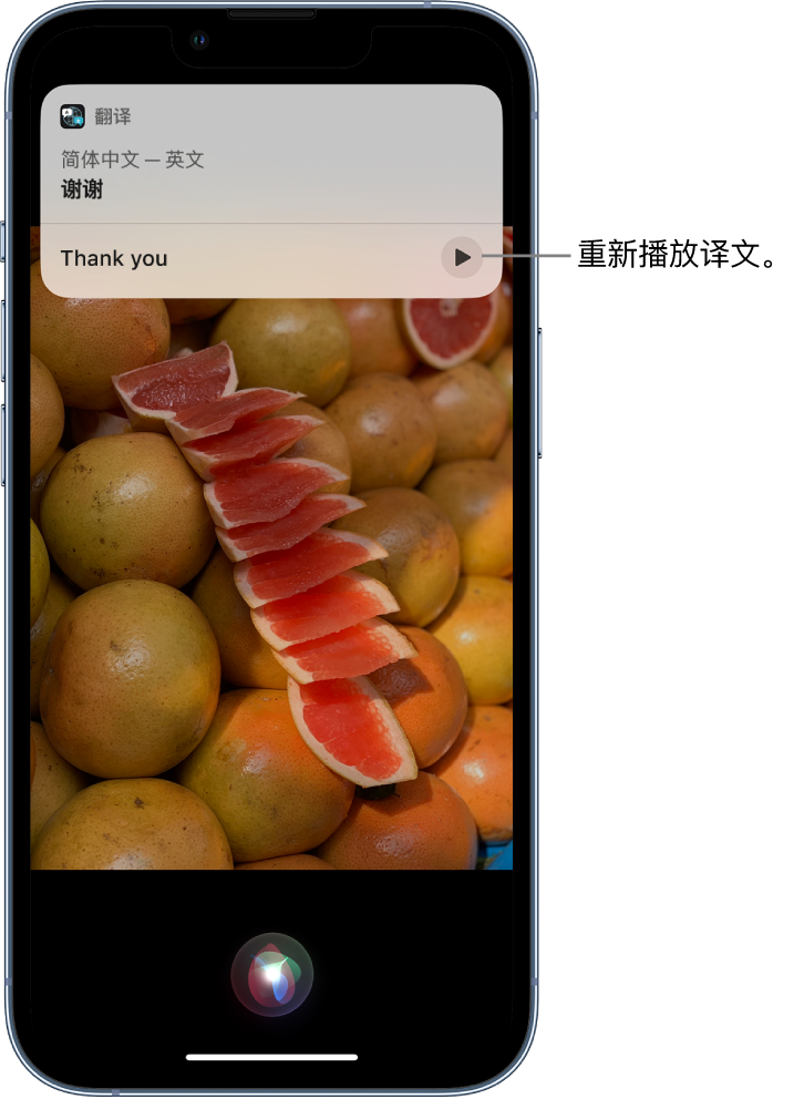 望奎苹果14维修分享 iPhone 14 机型中使用 Siri：了解 Siri 能帮你做什么 