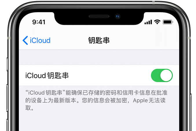 望奎苹果手机维修分享在 iPhone 上开启 iCloud 钥匙串之后会储存哪些信息 