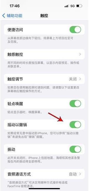 望奎苹果手机维修分享iPhone手机如何设置摇一摇删除文字 