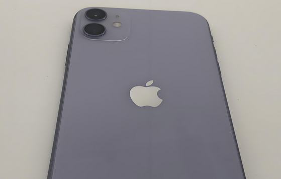 望奎苹果11系统维修分享iPhone11手机系统崩溃无法开机如何解决